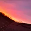 Denver Walker - @denver_walker3 - TikTok