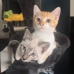 DENVER & WALLACE - @denver_y_wallace - Instagram