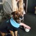 Denver &amp; Amy Ward - Facebook