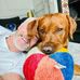 Dexter Watts  - Facebook