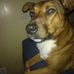 Denver Webb - Facebook