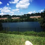 Denver - @denver.welchrag - Instagram