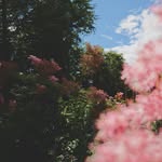 Denver - @denverwelch5.945 - Instagram