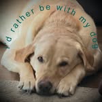 Denver Wheeler - @denver_wheeler - Instagram