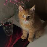 Denver Wheeler - @denverwheeler27 - Instagram