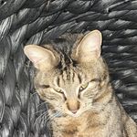 Denver Wilson - @fungusbungusnungus - Instagram