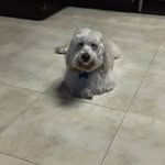 Deny Sanchez - @denysanchez765 - Instagram
