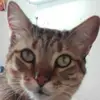 Denys Camacho - @denys.camacho - TikTok