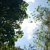 denysdiaz922tiktok.com/@denysd - @denysdiaz922 - TikTok