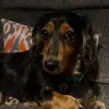 denysjones190880 - @denysjones190880 - TikTok