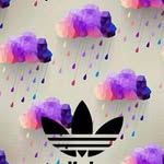 Denys Sanchez - @denys.sanchez.589 - Instagram