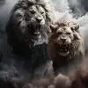 Denys Solis - @denys.solis - TikTok