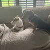 Denzel and Albert - @l89072 - TikTok