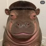Benjamin Denzel - @benjamindenzel - Instagram
