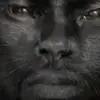 soy el guapo - @denzelbenjamin16 - TikTok