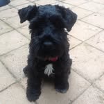 Denzel - @denzel_bishop - Instagram