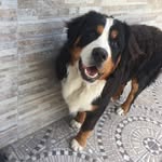 DENZEL - @denzel_boyero - Instagram