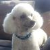 Denzel Brown - Facebook