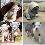 denzel lamar burton - @denzellamarburton - Instagram