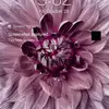 denzelwarburton - @denzelwarburton - TikTok