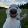 Denzel Chapman - @denzel.chapman4 - TikTok