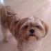 Denzil Collins - Facebook