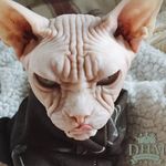 Denzel Cooper - @denzel.leecooper - Instagram