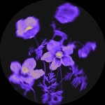 Denzel Vargas - @denzel_vargas44 - Instagram