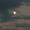 denzil john - @denzil.john - TikTok