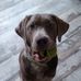 Deon Beck - Facebook
