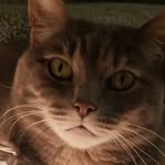 Deon collier - @deonvogelcollier1969 - Instagram