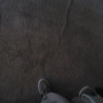 Deon Franklin - @lidraco34 - Instagram