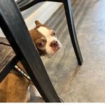 deon grace - @deongrace9 - Instagram