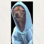 Deon Gray - @thxtnigga_d - Instagram