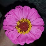 Deon Meyer - @deon.meyer.1690 - Instagram