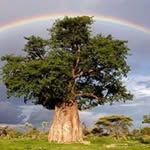 Deon Meyer - @9606deon - Instagram