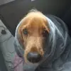 Deon Strydom - @deon.strydom8 - TikTok