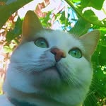 Tom_Deon - @tom_____deon - Instagram