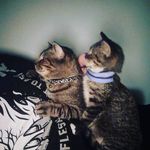 Tyson&Deon - @tysonanddeon - Instagram