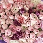 Deona Bellon Davis - @parellapink - Instagram