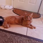 Deondre Scott - @deondre.scott.963 - Instagram