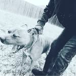 Deondre turner - @deondre6786 - Instagram