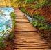 DeAnna Wells - Facebook