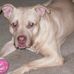 Deonna Young - Facebook