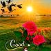 Deno Bright Ster - Facebook