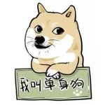 汪單身 - @deqingwang - Instagram