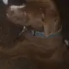 Dequan Jackson - @dequan.jackson5 - TikTok