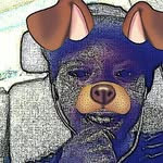 dequan Mitchell - @theyh8dequan - Instagram