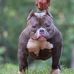 Dequan Thomas - Facebook