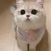 raohanjiaoshop - @363wangdequan - TikTok